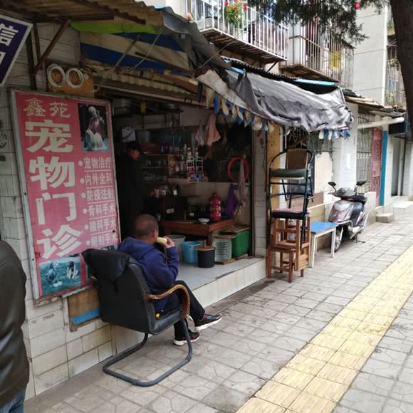 鑫园宠物门诊:昆明市五华区梁家河附近