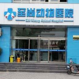 至尚动物医院:石家庄市裕华区众美凤凰城附近