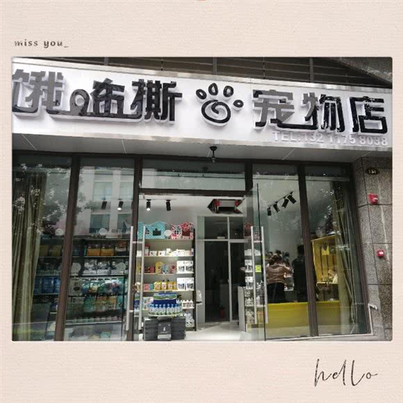 饿咘撕宠物店:昆明市五华区高新区附近