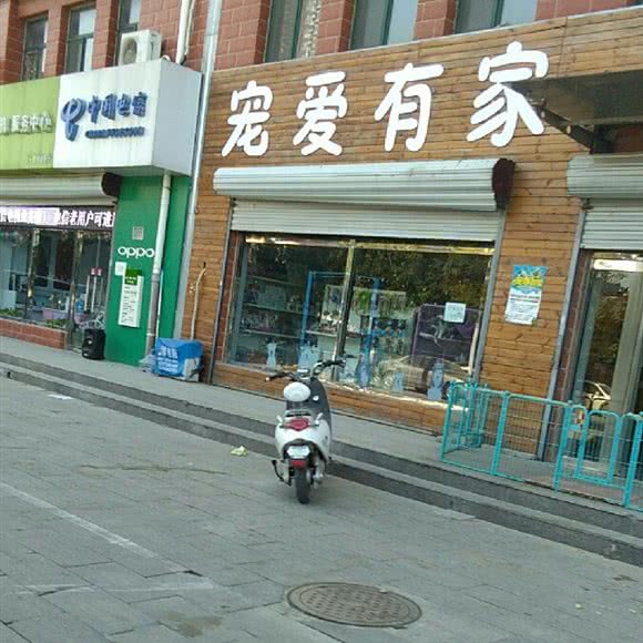 宠爱有家:石家庄市裕华区国际城附近