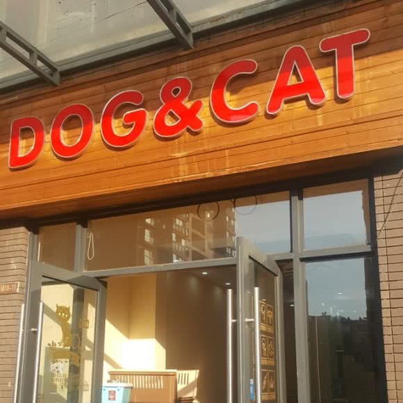 DOG&CAT:昆明市五华区高新区附近
