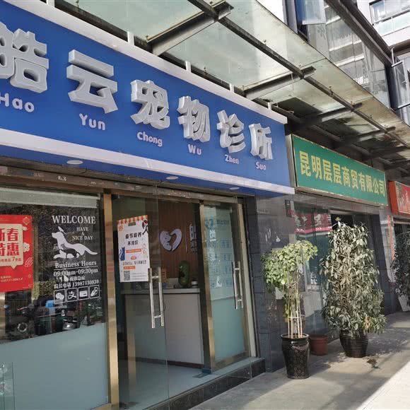 皓云宠物诊所:昆明市五华区高新区附近