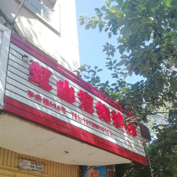 虹山宠物诊所:昆明市五华区黄土坡附近