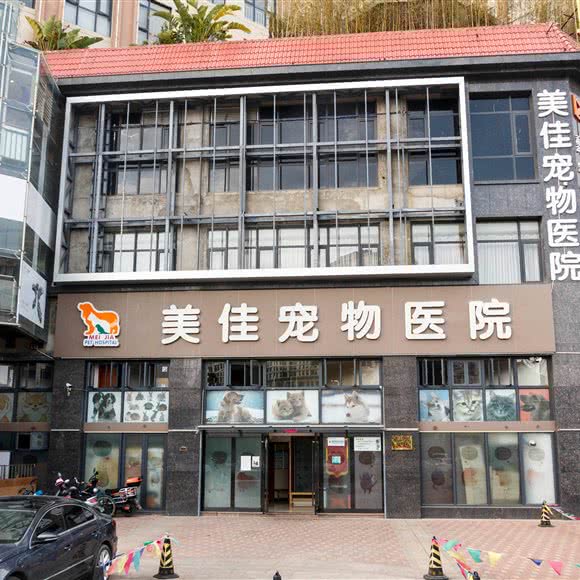 美佳宠物医院:昆明市五华区黄土坡附近