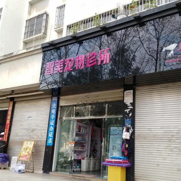 智美宠物诊所:昆明市五华区黄土坡附近