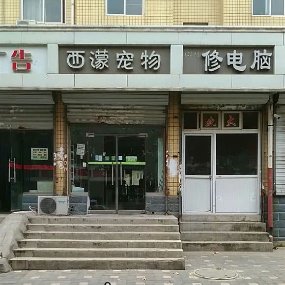 西濛宠物:石家庄市裕华区国际城附近