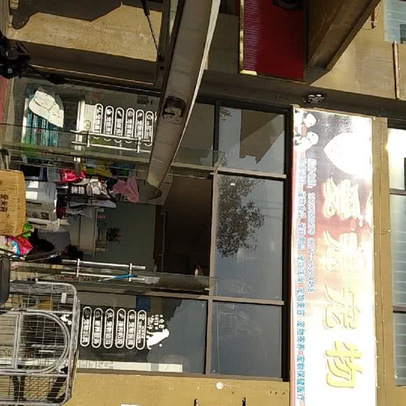 爱宠宠物:昆明市五华区高新商学院附近