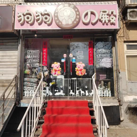 南念狗狗美学工作室:石家庄市裕华区国际城附近