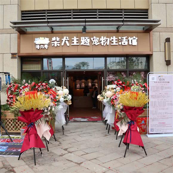 優丸号柴犬主题宠物生活馆:昆明市五华区高新商学院附近