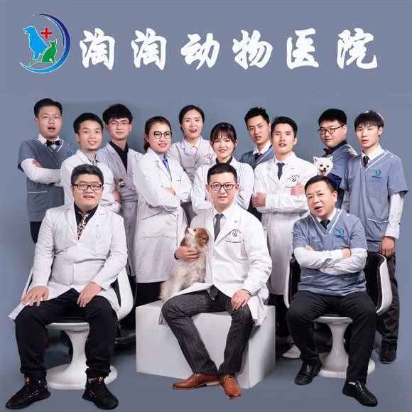 淘淘动物医院(春城慧谷诊疗中心):昆明市五华区高新商学院附近