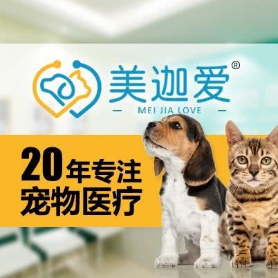 美迦爱动物医院(朝阳路分院):北京城区朝阳区青年路附近