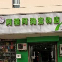 阿猫阿狗宠物店(国际城店):石家庄市裕华区国际城附近