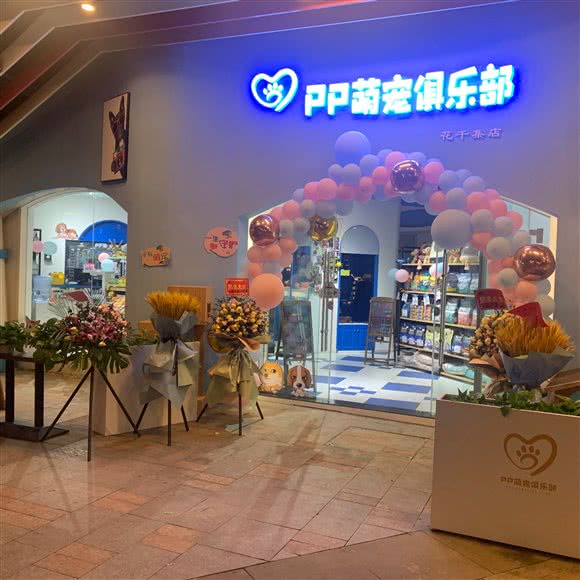 PP萌宠俱乐部(花千集店):昆明市五华区实力花千集附近