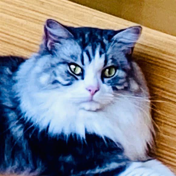 宇都宫私宠:昆明市五华区金鹰购物中心附近