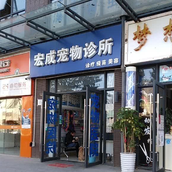 宏成宠物诊所:昆明市五华区高新开发区附近