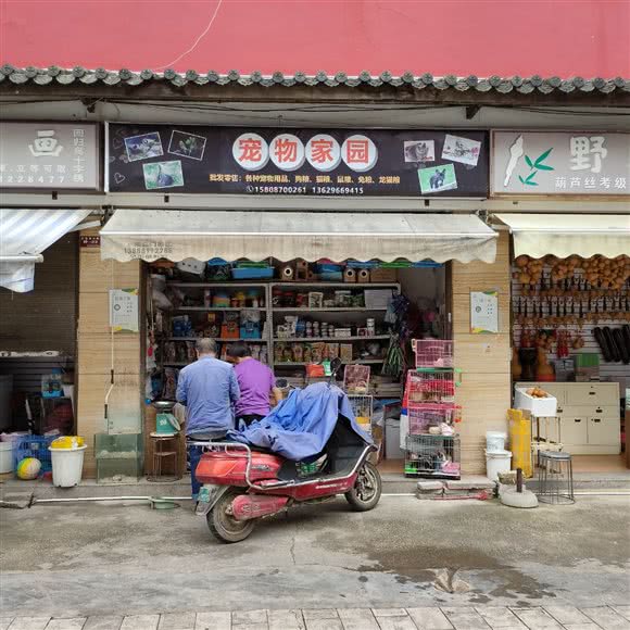 宠物家园:昆明市盘龙区人民东路附近