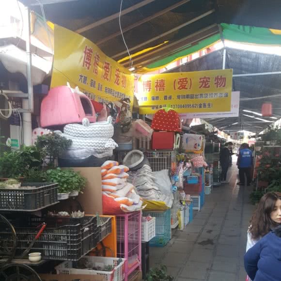 博禧(爱)宠物:昆明市盘龙区人民东路附近