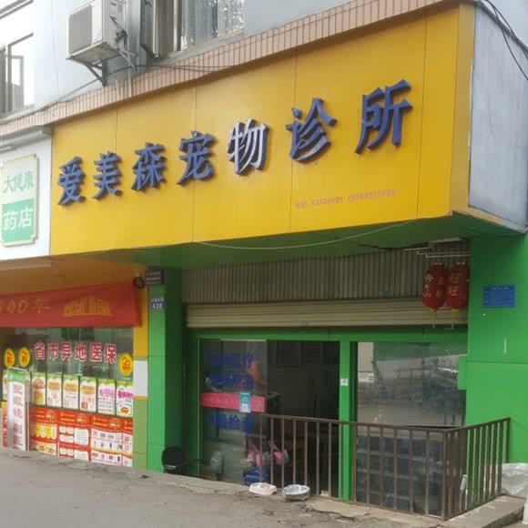 爱美森宠物诊所:昆明市盘龙区人民东路附近