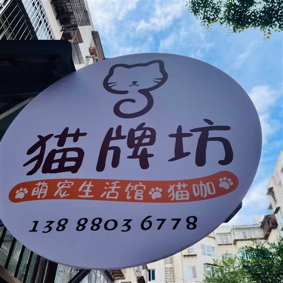 猫牌坊·专业猫咪洗澡·猫咖:昆明市盘龙区金星小区附近