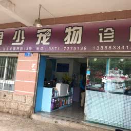 君少宠物诊所(江东一区店):昆明市盘龙区金星小区附近