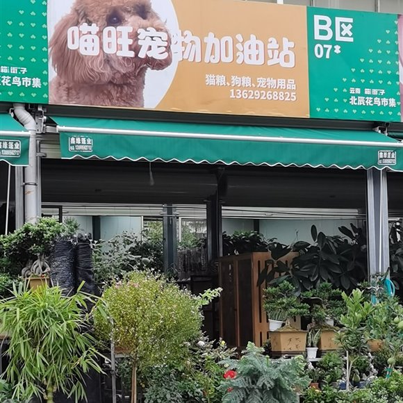 喵旺宠物加油站:昆明市盘龙区云南映象附近