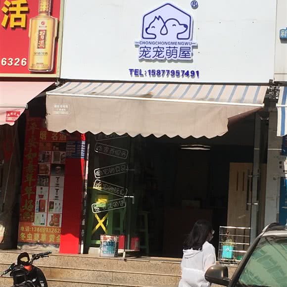 宠宠萌屋:昆明市盘龙区江东花园/江东花城附近