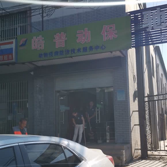 皓普动保:石家庄市裕华区师范大学附近