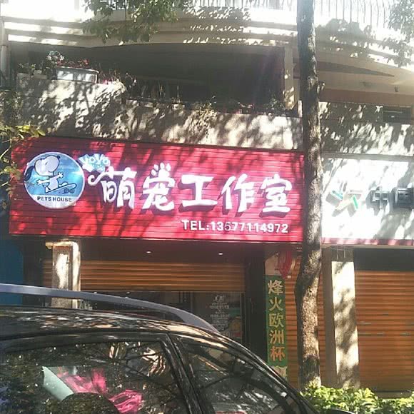 萌宠工作室:昆明市盘龙区北辰财富中心附近