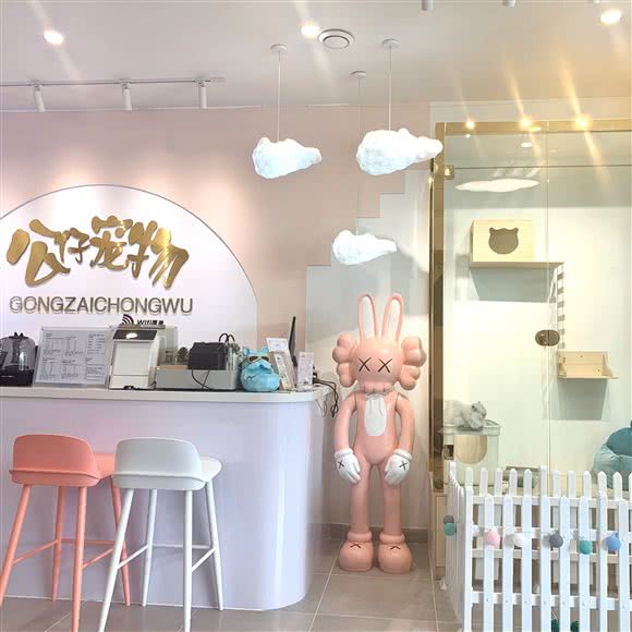 公仔宠物·伊珊娜皮毛护理中心:昆明市盘龙区北辰财富中心附近