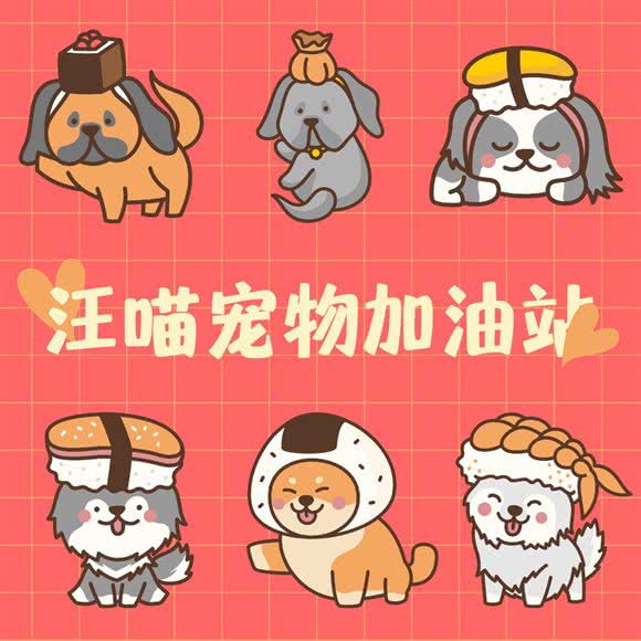 汪喵宠物加油站:昆明市盘龙区寺瓦路附近