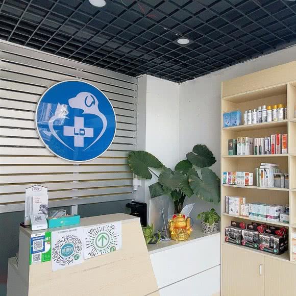 灵动宠物狗诊所:昆明市盘龙区龙头街附近