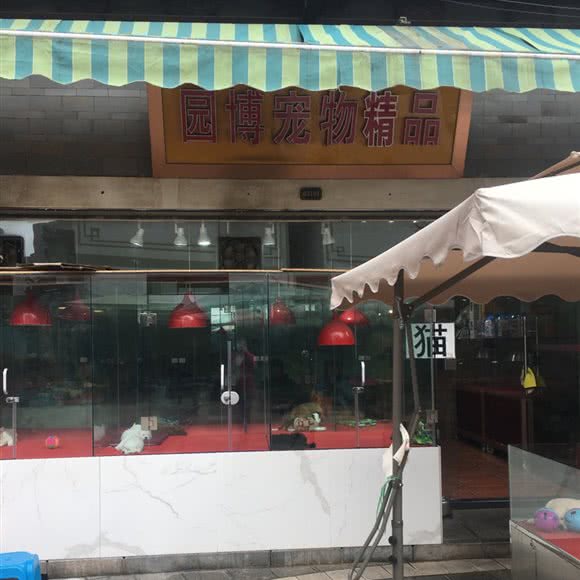 园博宠物精品:昆明市盘龙区白龙新区附近