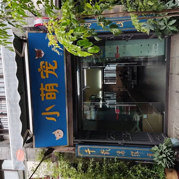 大萌宠:昆明市盘龙区白龙新区附近