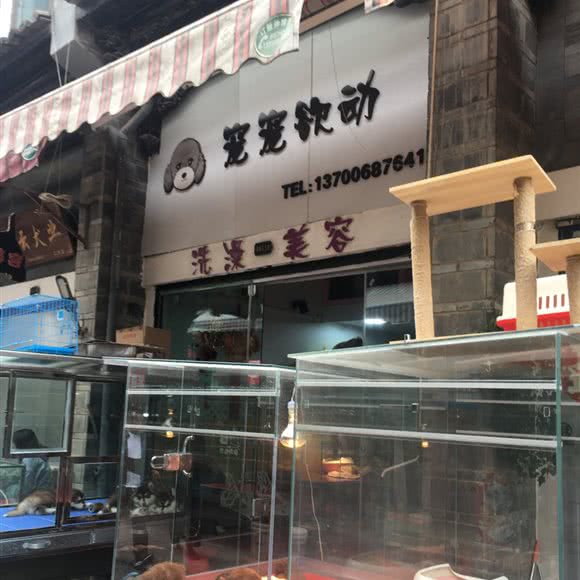 宠宠欲动:昆明市盘龙区白龙新区附近