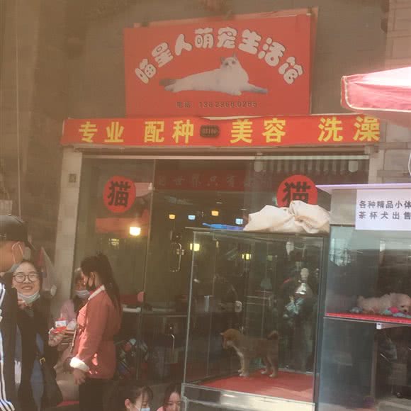 喵星人萌宠生活馆:昆明市盘龙区白龙新区附近