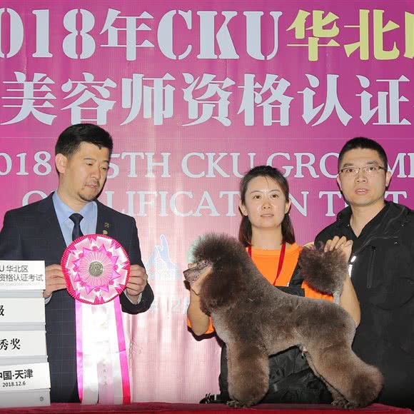 红桃七宠物超市:唐山市路南区新街附近