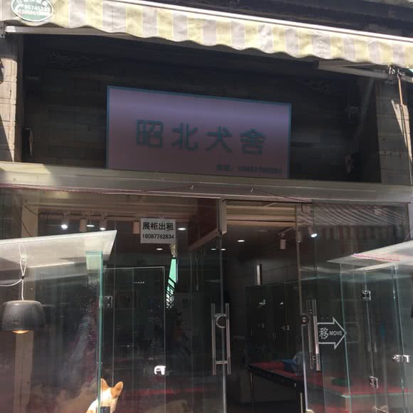 昭北犬舍:昆明市盘龙区白龙新区附近