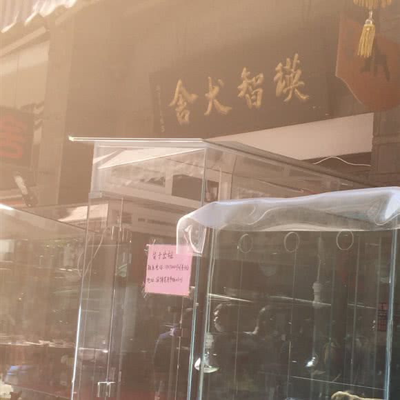 瑛智犬舍:昆明市盘龙区白龙新区附近