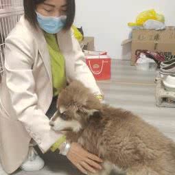 宝瑞宠物(关上店):昆明市官渡区关上附近