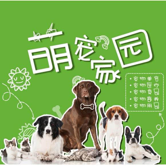 张萍宠物美容工作室:唐山市路南区福乐园附近