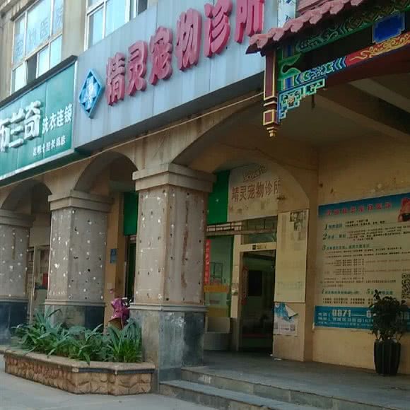 精灵宠物诊所:昆明市官渡区关上附近