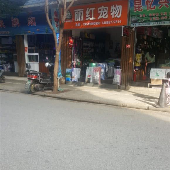 丽红宠物:昆明市官渡区南坝/豆腐营附近