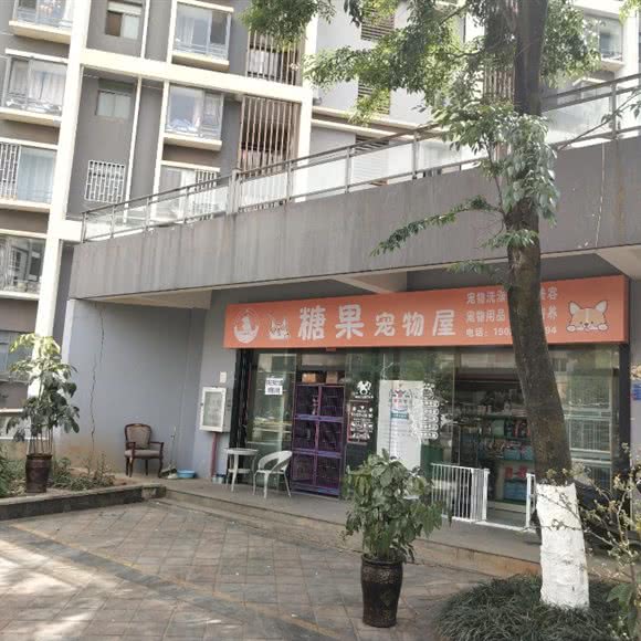 糖果宠物屋:昆明市官渡区世纪城附近