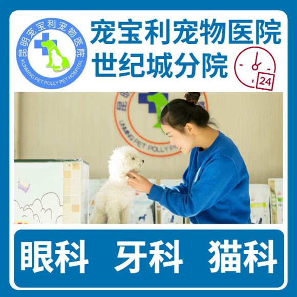 宠宝利宠物医院(世纪城分院):昆明市官渡区世纪城附近