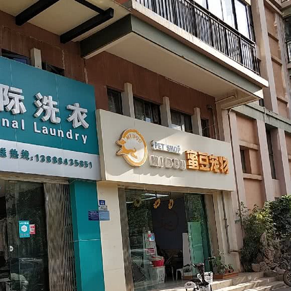蜜豆宠物:昆明市官渡区新亚洲体育城附近