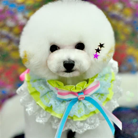 酷迪(国美第一城店):北京城区朝阳区十里堡附近