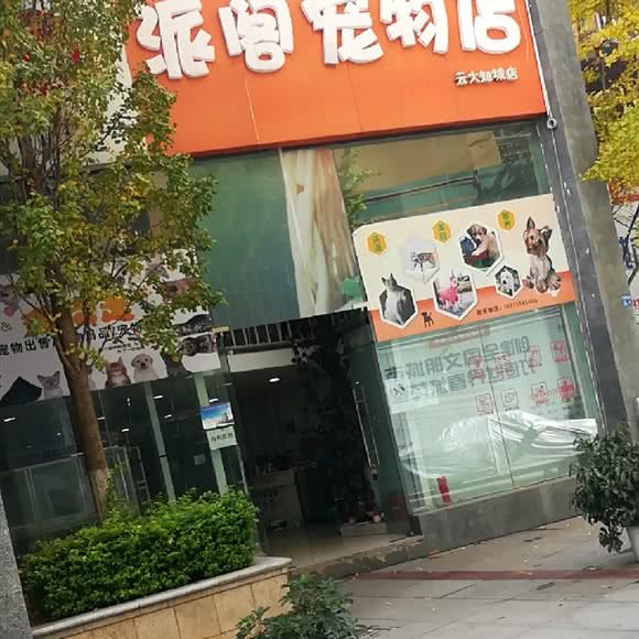 派阁宠物店:昆明市官渡区经开区附近