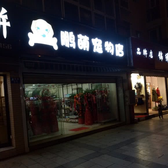鹏萌宠物店:昆明市官渡区官南大道附近