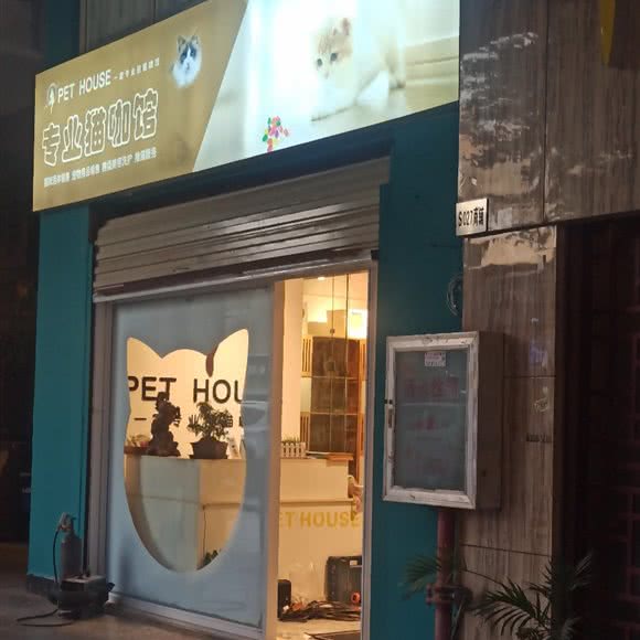 专业猫咖馆:昆明市官渡区官南大道附近