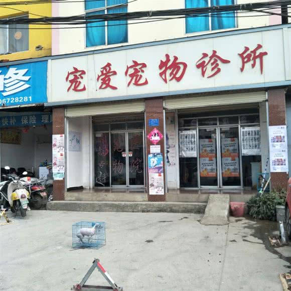 宠爱宠物诊所(官南大道店):昆明市官渡区官南大道附近